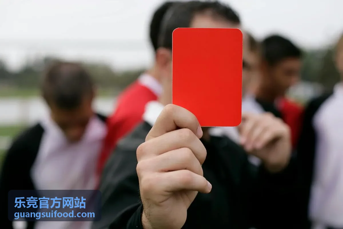 乐竞官方网站赛事赛程与战队数据页面展示